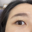 첨단 속눈썹 펌 수강 전문가에게서 펌후기 &lt;혜뷰티&gt;