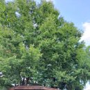 향교마을경로당 이미지