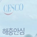 메르벨르B 네이버블로그