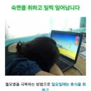 월요병 극복하는 방법 이미지