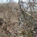 양갑주유소 이미지