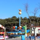 와일드 동물병원 | 빛을 따라 한 뼘 더 자라나