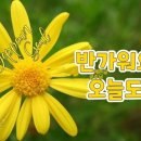수탉이 낳은 알을 가져오너라 이미지