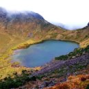 한라산게스트하우스 이미지