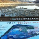 원조 남산식육식당 이미지