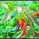 기복농장 이미지