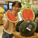 롯데쇼핑(주) 구리점 비즈니스워치