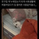 투어 닥터 이미지