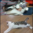 화인아파트(남) 이미지