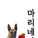 엔비비스토어