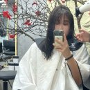 컷트랑파마랑 | 하노이 로컬 미용실 후기 ZIO SALON/컷트/C컬 파마/의심+의심