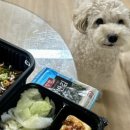 다고미고 | 연산동밥집 찾는다면? 장어덮밥 맛집 ‘다고미고’ 솔직후기