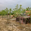 백산마을 이미지