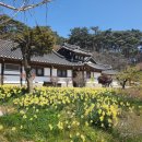 엘에스네이처팜 이미지