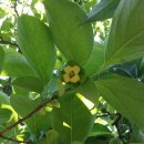 도반농장 이미지