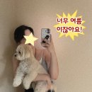 [구미] 봉곡동 왁싱맛집 ‘디어모먼트 뷰티' | 여름맞이 팔 하프, 겨드랑이 왁싱 후기
