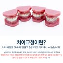 잘씹는치과의원 이미지