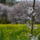 경상목장 이미지