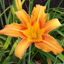 소희꽃농원 이미지