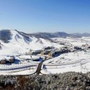 알펜시아 스포츠파크 크로스컨트리 경기장 이미지