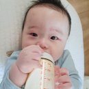 드시모네_A | 신생아 유산균 추천 드시모네 베이비 스텝1 후기