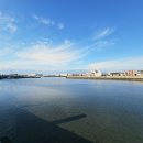 덕승식당 | (제주도 서귀포 맛집) 제주도 갈치조림의 성지 11년째 블루리본 덕승식당 후기