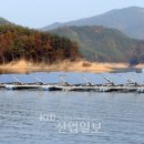 나라 태양광발전소 이미지