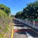 서호동-49 이미지