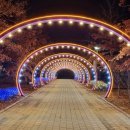 축제광장 및 수변공원 이미지