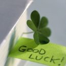 네잎클로버pc 이미지