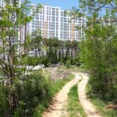 청당하늘채어린이집 이미지