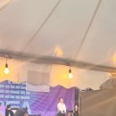 도나우 | [250621 7일차] 도나우인젤페스트/도나우인젤페스티벌 2일차 후기 송소희 라이브
