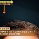 머리 물들이는 날