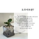 힐링 오브제 만들기 글라스아트 (1개월 과정) | [대구 출강 발포 세라믹 도우 아트 후기] 나만의 돌멩이 이끼 정원 만들기 🌿 겨울 단체 힐링 클래스 인기