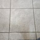 진우2차 이미지