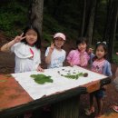 동구초등학교 이미지