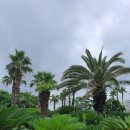 제주건강과 성박물관 이미지