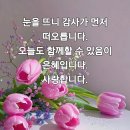 진주(晉州) 이미지