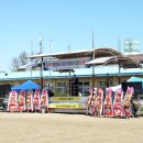 모동초교 이미지