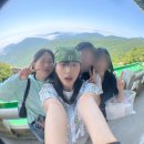 새미끌집 이미지