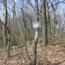 호남상회 이미지