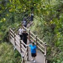 스테이사룡 이미지