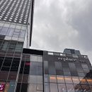 4887 | 광화문 올리브베러 첫 방문 후기, 사오고 싶은 젤리 종류, 상품 추천