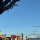 [행복한학교]일본도시여행(오사카편)-아무도 알려주지 않았던 도시전설 | CHO의 도쿄 여행기. 25년도의 마지막 순간들.