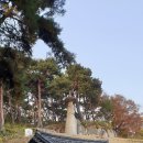 부여(임천)-11 이미지