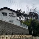 우수영동물병원 네이버블로그