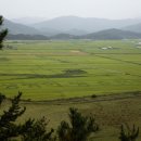 순천만 습지 이미지