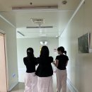 화순효사랑한의원 | 어느어느어느(2025) 여름(Summer) !