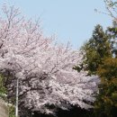 우룡산공원 이미지