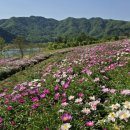 입석1길 이미지